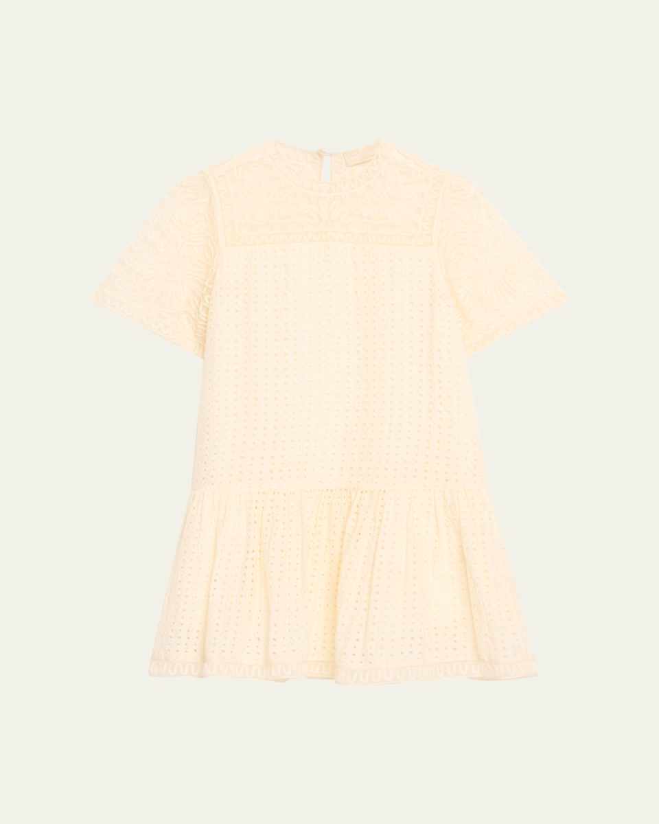 Gabi Embroidered Mini Dress